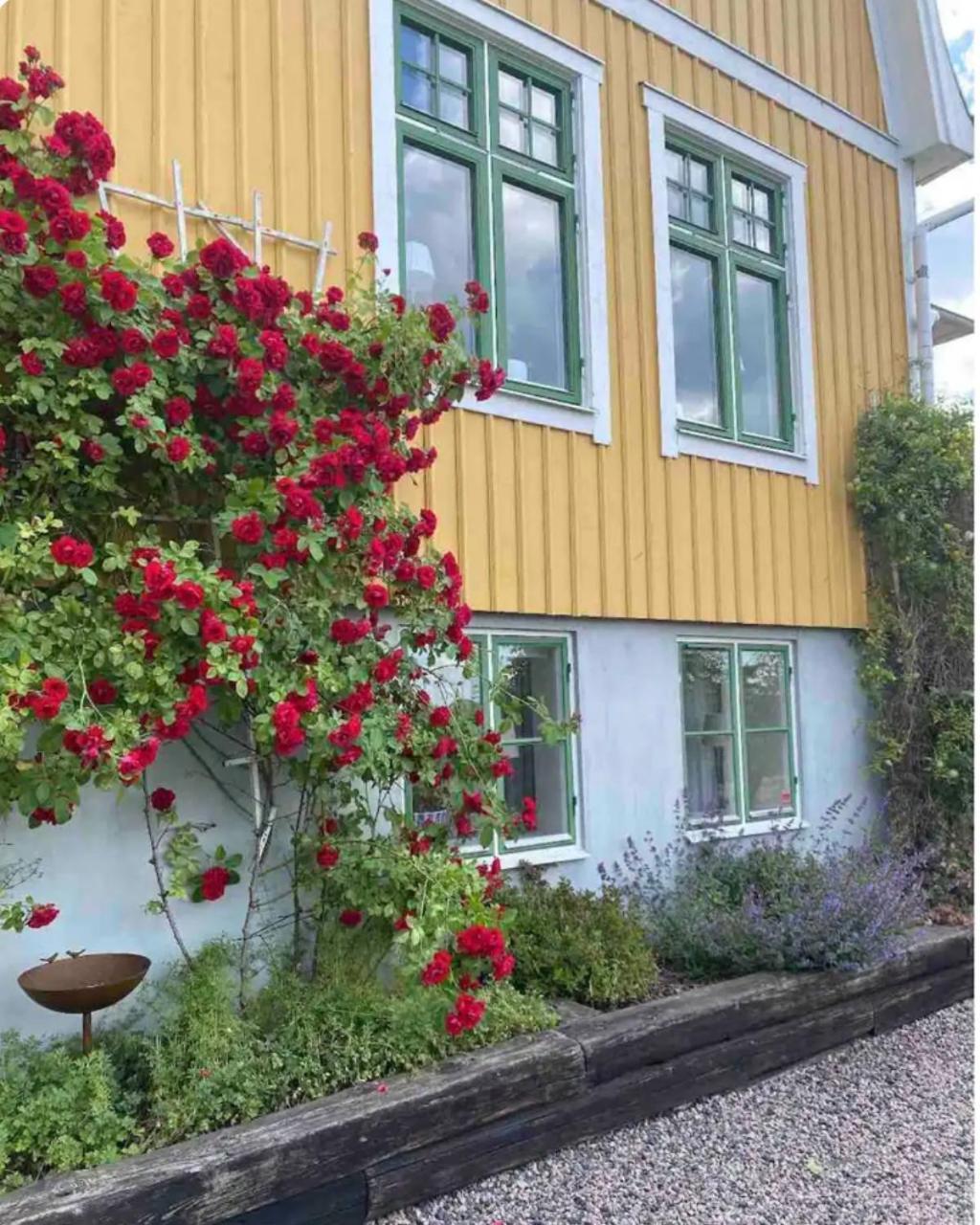 Villa Bjoerkliden B&B Tenhult Exteriör bild